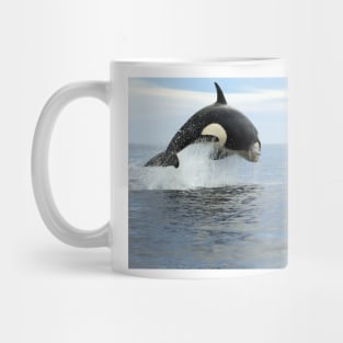 Killer whale hunting (C019/4452) Mug